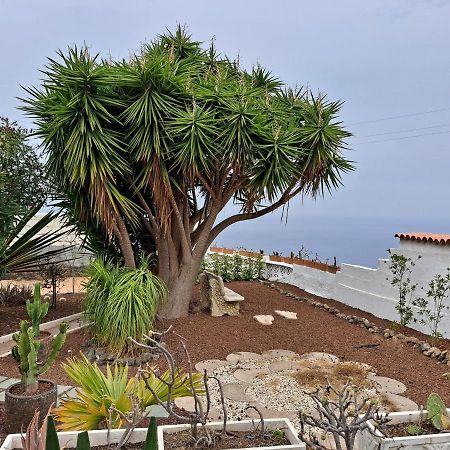 Casa Don Quijote: Oceanview Terrace & Teide Volcano Vistas Icod De Los Vinos Exterior photo