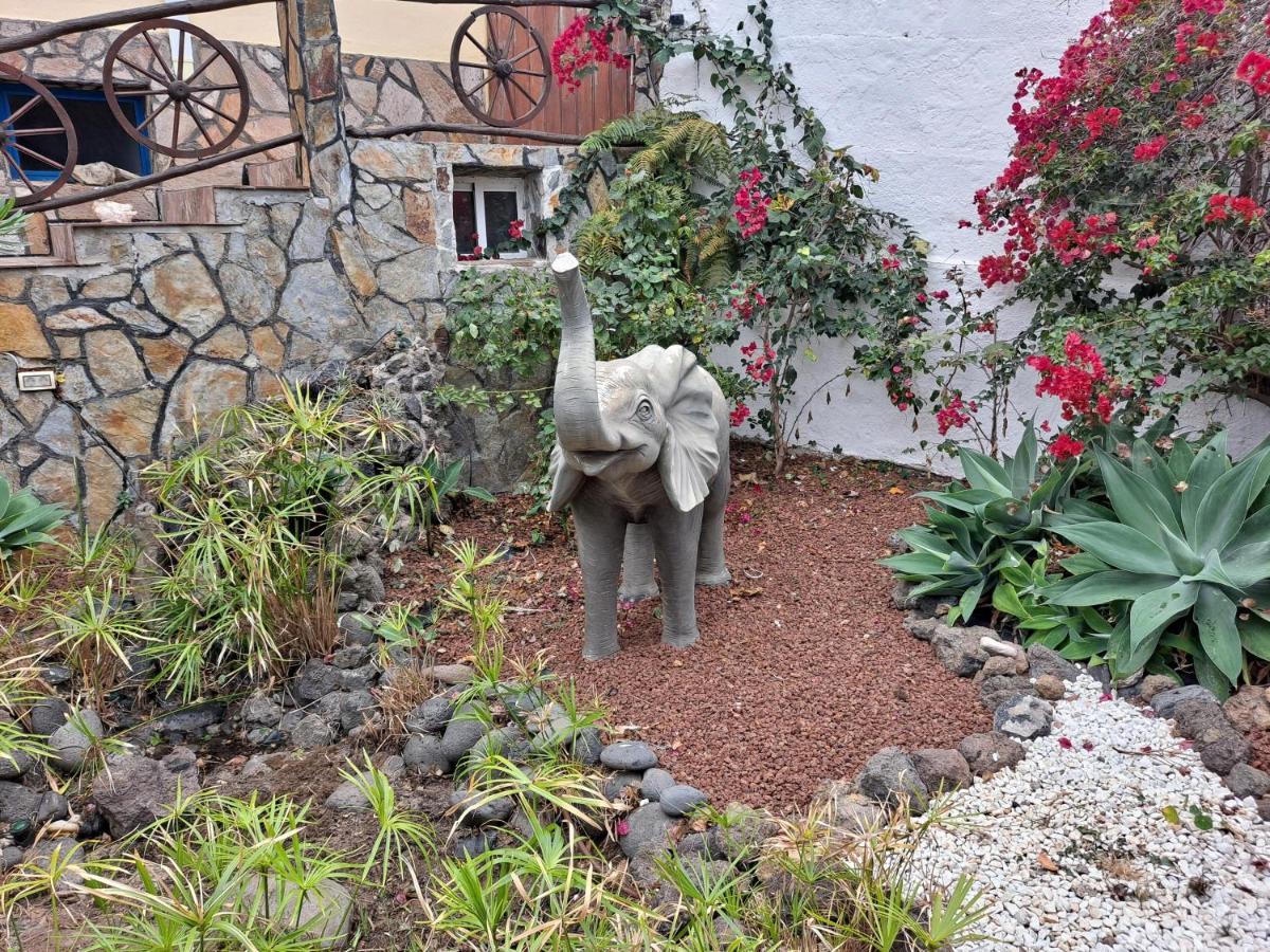 Casa Don Quijote: Oceanview Terrace & Teide Volcano Vistas Icod De Los Vinos Exterior photo